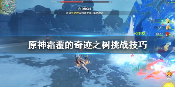 原神霜覆的奇迹之树任务怎么打 原神 霜覆的奇迹之树怎么打