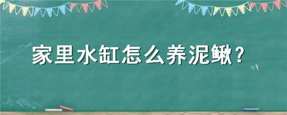 家里水缸怎么养泥鳅 家里水缸怎么养泥鳅1003无标题