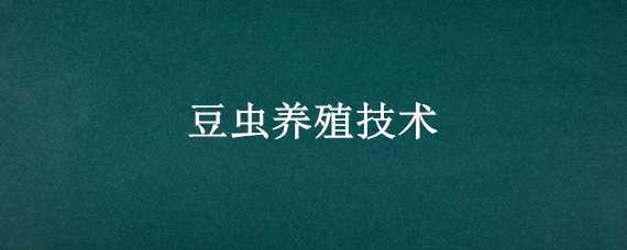 豆虫养殖技术（豆虫养殖技术与指导）