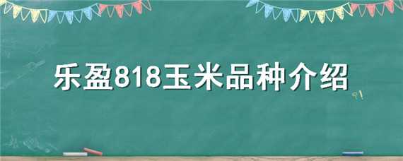 乐盈818玉米品种介绍（乐盈278玉米种子）