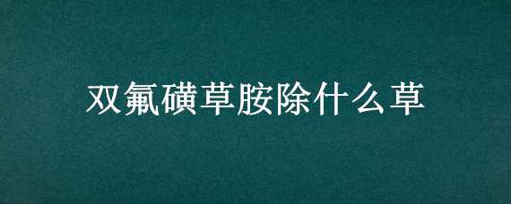 双氟磺草胺除什么草（双氟磺草胺杀什么草）