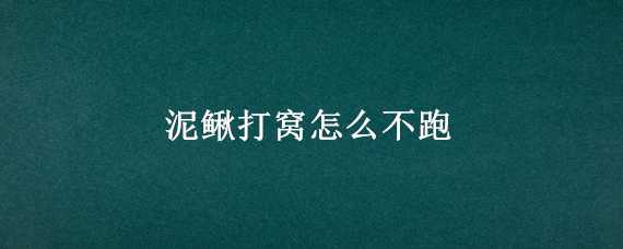 泥鳅打窝怎么不跑 泥鳅打窝怎么不跑鱼