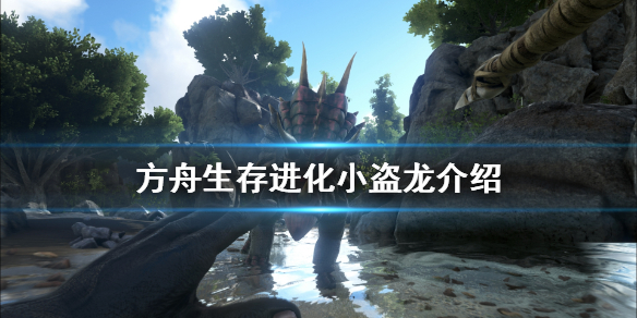 方舟生存进化小盗龙有什么用(方舟生存进化小盗龙怎么用)