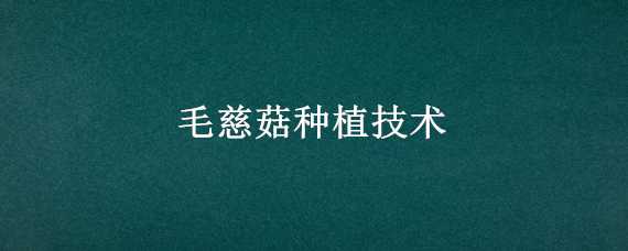 毛慈菇种植技术 毛慈菇种植技术亩产量多少公斤