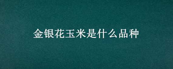 金银花玉米是什么品种 金银玉米百科