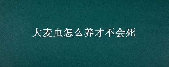 大麦虫怎么养才不会死 大麦虫容易死吗