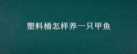 塑料桶怎样养一只甲鱼 塑料桶怎样养一只甲鱼好