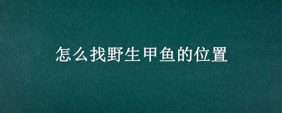 怎么找野生甲鱼的位置 野生甲鱼栖息地怎么找