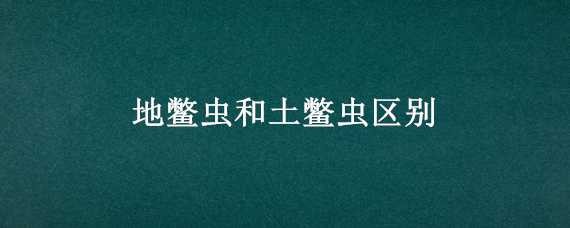 地鳖虫和土鳖虫区别 地鳖虫和土鳖虫区别