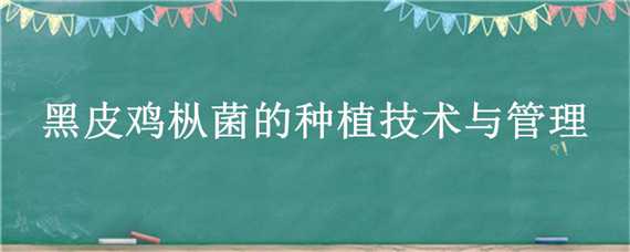 黑皮鸡枞菌种植栽培技术 黑皮鸡枞菌种植栽培技术和规模