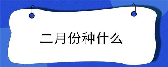 二月份种什么 二月份种什么花种子