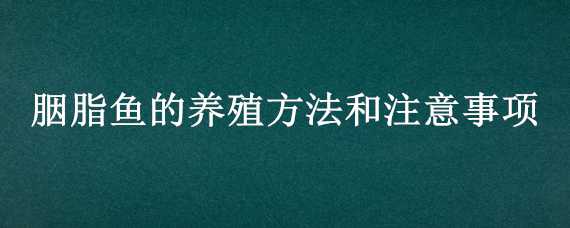 胭脂鱼的养殖方法和注意事项（胭脂鱼的养殖方法和注意事项图片）