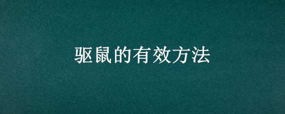 驱鼠的有效方法 驱鼠最有效的方法