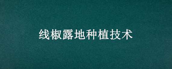 线椒露地种植技术（线椒露地种植技术密植）