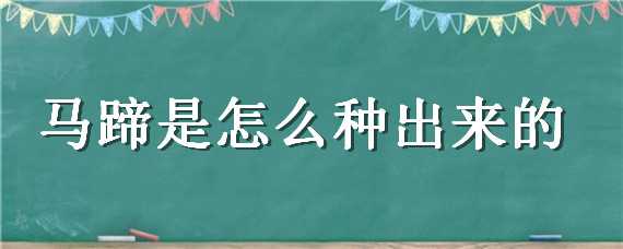 马蹄是怎么种出来的 马蹄是怎么种出来的图片