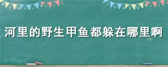 河里的野生甲鱼都躲在哪里啊 河里的野生甲鱼都躲在哪里啊顺义区北法信村旁佳和一品