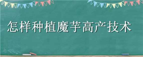 怎样种植魔芋高产技术（魔芋高产的种植技术）