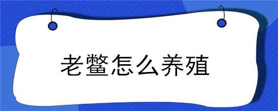 老鳖怎么养殖 老鳖怎么养殖方法