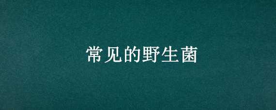 常见的野生菌 常见的野生菌类图片及名称