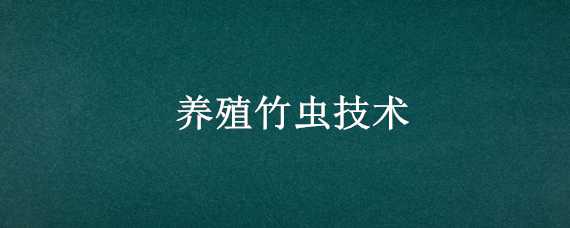 养殖竹虫技术 竹虫 养殖