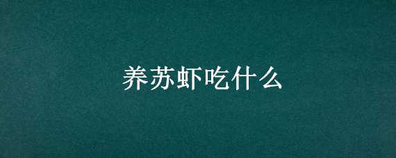 养苏虾吃什么 养苏虾吃什么饲料好