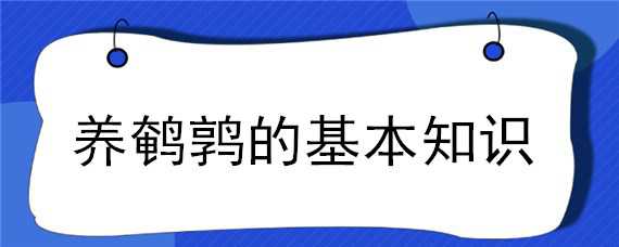 养鹌鹑的基本知识 养鹌鹑的基本知识有哪些