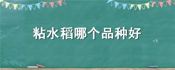 粘水稻哪个品种好 粘水稻哪个品种好吃