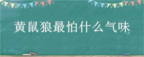 黄鼠狼最怕什么气味（黄鼠狼怕香味吗）