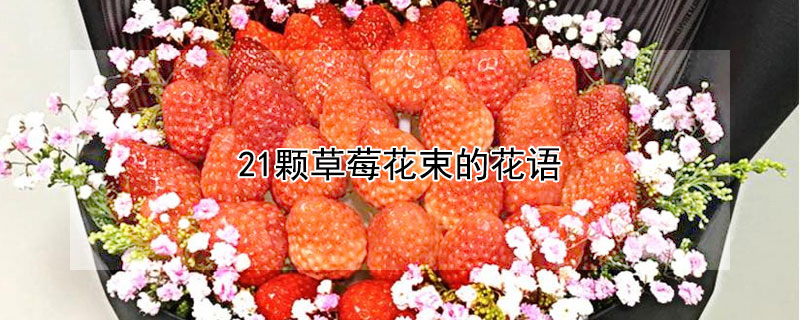 21颗草莓花束的花语 19颗草莓花束代表