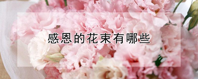 感恩的花束有哪些（感恩老师的花束有哪些）