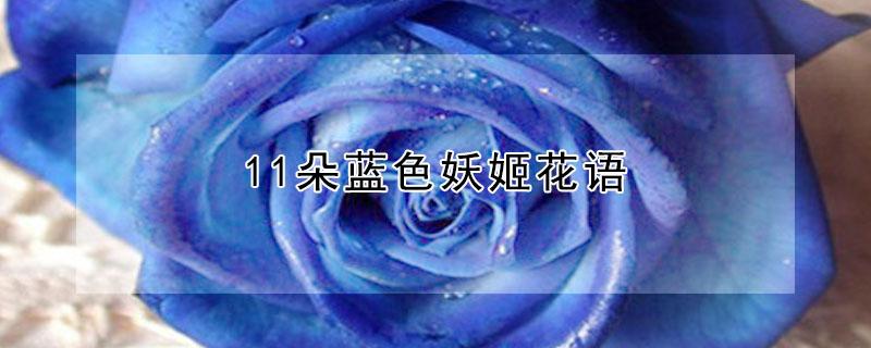 11朵蓝色妖姬花语 11朵蓝色妖姬花语是什么意思 寓意