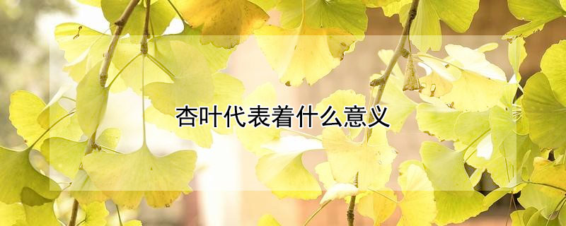 杏叶代表着什么意义（杏仁叶代表的是什么意思）