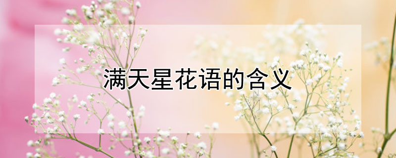 满天星花语的含义（满天星花语代表什么象征意义）