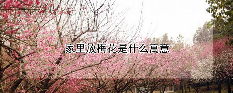 家里放梅花是什么寓意（家里放假梅花是什么寓意）