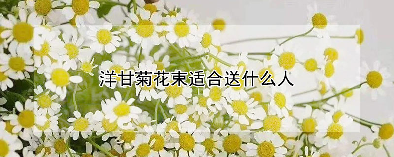 洋甘菊花束适合送什么人 送花可以送洋甘菊吗