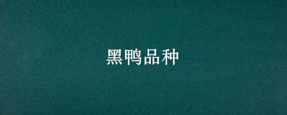 黑鸭品种 黑肉鸭品种