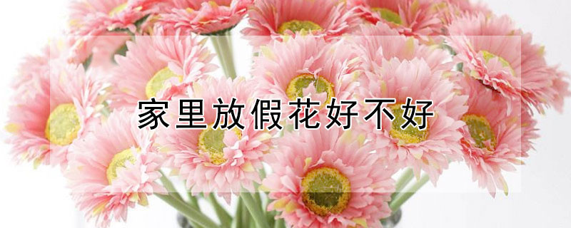 家里放假花好不好（家里放假花好不好为什么?）