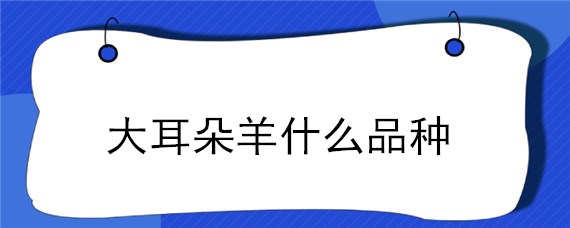 大耳朵羊什么品种（大耳朵的山羊都有些什么品种?）