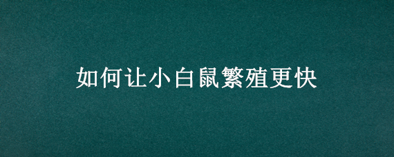 如何让小白鼠繁殖更快 繁殖小白鼠注意事项