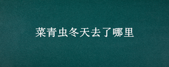 菜青虫冬天去了哪里（菜青虫住哪里啊）