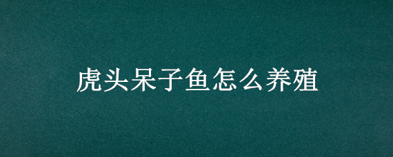 虎头呆子鱼怎么养殖（虎头呆子鱼养殖技术）