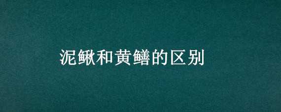 泥鳅和黄鳝的区别（泥鳅和黄鳝的区别图片）