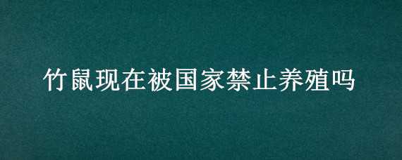 竹鼠现在被国家禁止养殖吗（竹鼠不让养殖）