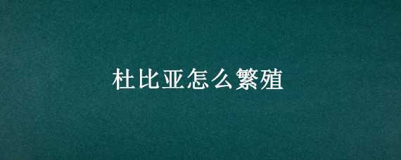 杜比亚怎么繁殖（杜比亚怎么繁殖周期）