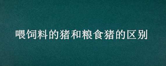 喂饲料的猪和粮食猪的区别（猪喂粮食还是饲料）