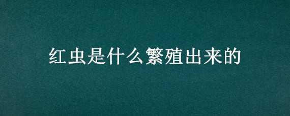 红虫是什么繁殖出来的（怎样繁殖红虫子）