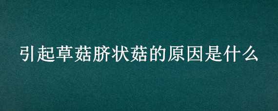 引起草菇脐状菇的原因是什么（产生脐状菇的原因是）