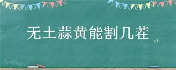 无土蒜黄能割几茬（自种蒜黄割了还长吗）