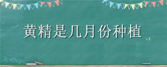 黄精是几月份种植（黄精什么时候栽种）