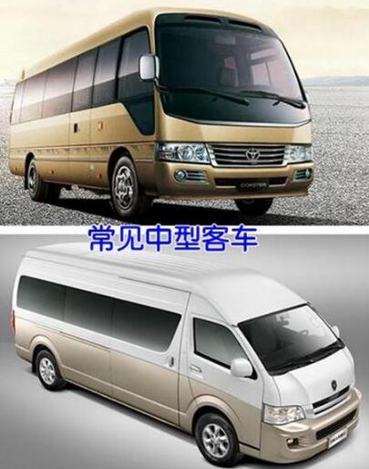 B1、B2驾驶证能开什么车?